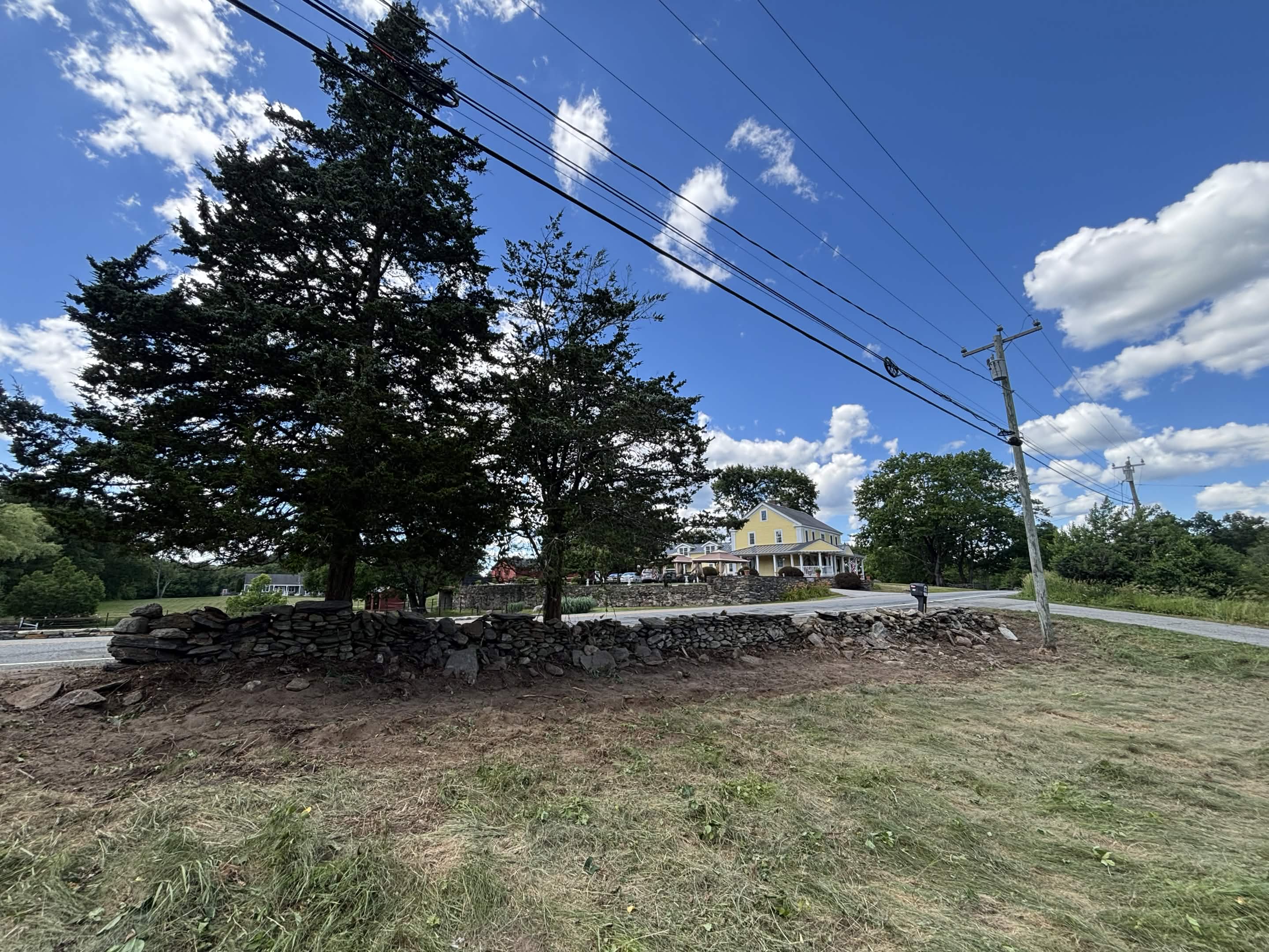 Putnam Poison Ivy & Brush Removal
